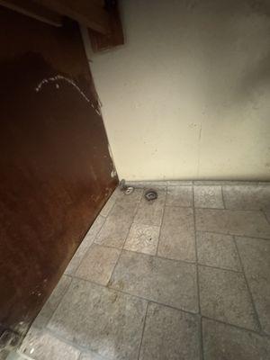 Jade Tree Apartments