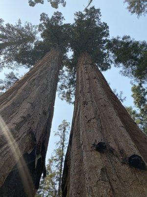 Meditation Health and Wellness Coach