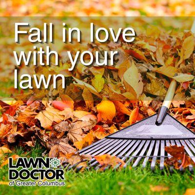 Get Your Lawn Ready for Fall!
Is your yard ready for the changing season? Our Fall Lawn Care Guide has everything you need to prep you