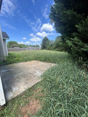 C & C Mobile Detailing and Lawn Care