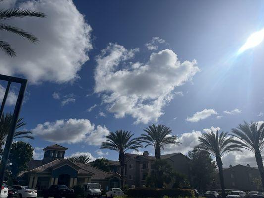 Everyday is a Beautiful day!