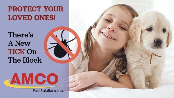 Christmas Lights by Amco