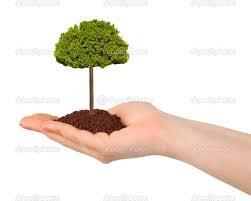 Let's grow your assets!