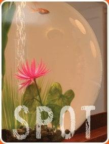 Spot is a different kind of spa experience.