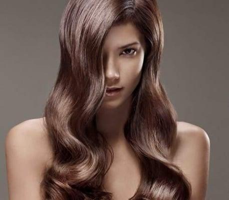 Jacques Michael Salon