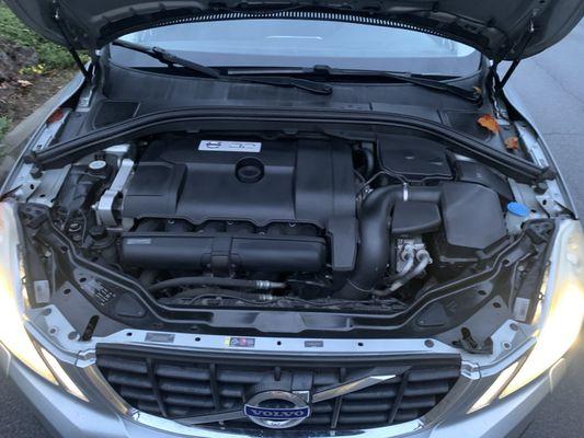 Front radiator support expansion plug removed and never installed back after repair.