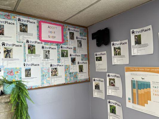 Aberdeen Veterinary Clinic