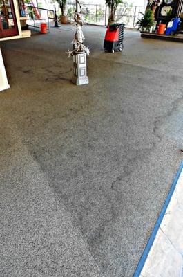 Steamy Wonder Carpet Service