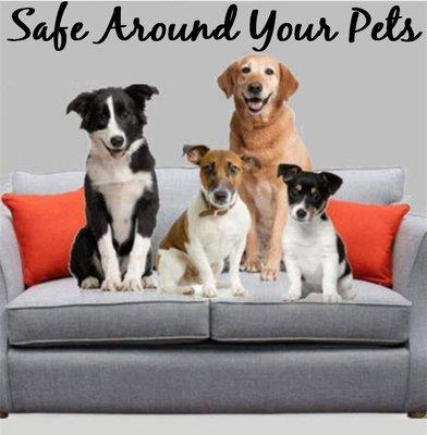 MojiLife With Janet Nelson