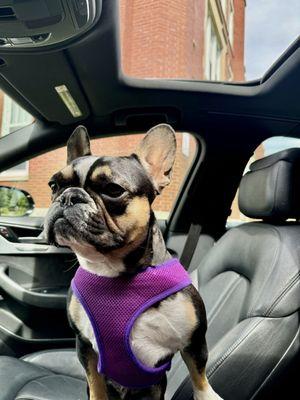 Chenoweth Lane Pet Clinic