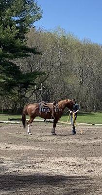 Lone Tree Farm Horse Training