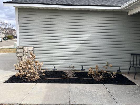 Gator Grass Maintenance
