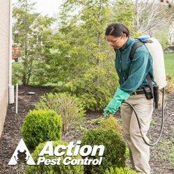 Action Pest Control