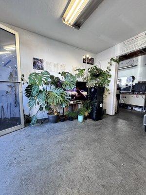 Smoguys Star Station