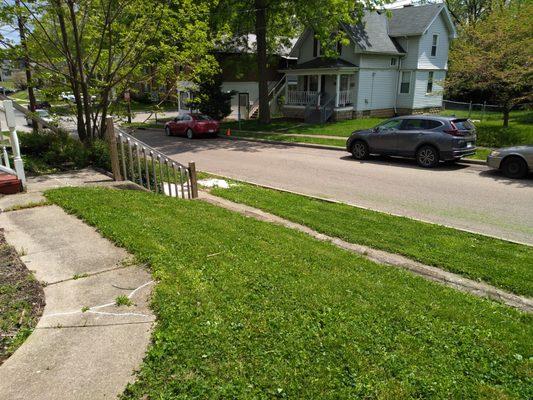 Michole's Lawn Care & Handy Man Services