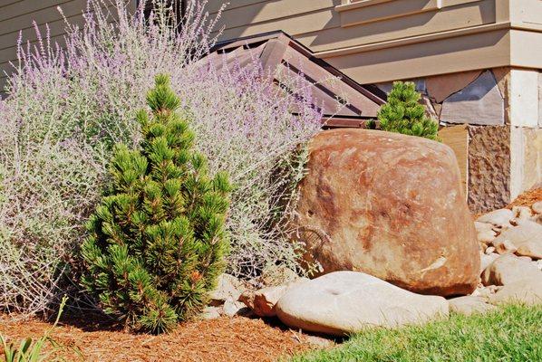 Thress Nursery Gardens