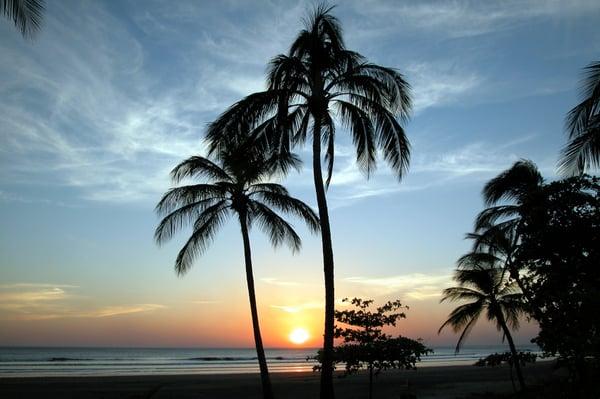 Patricia Lazalde, PhD