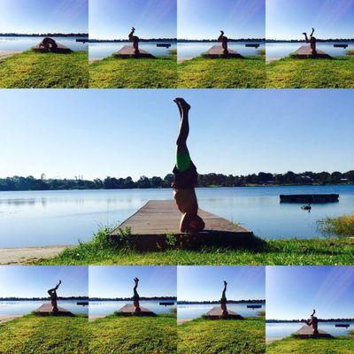 Zen warrior *practical selfdefense*