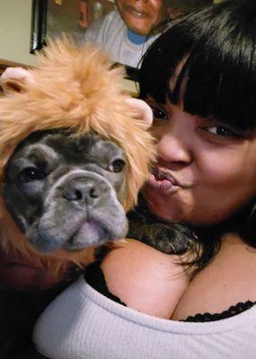 Milwaukee Walk In Vet Clinic