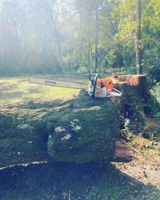 Off Duty Tree Service