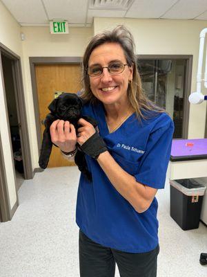 Animal Ark Animal Hospital