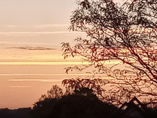 Liu's Holistic Health & Fitness