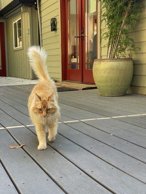 Cottages On River Road