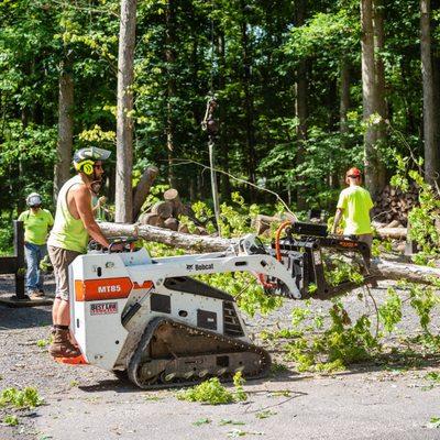 NP Moyer Tree Service