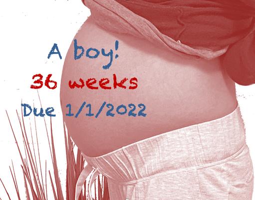 Pro Natural Health Center - Santa Clara