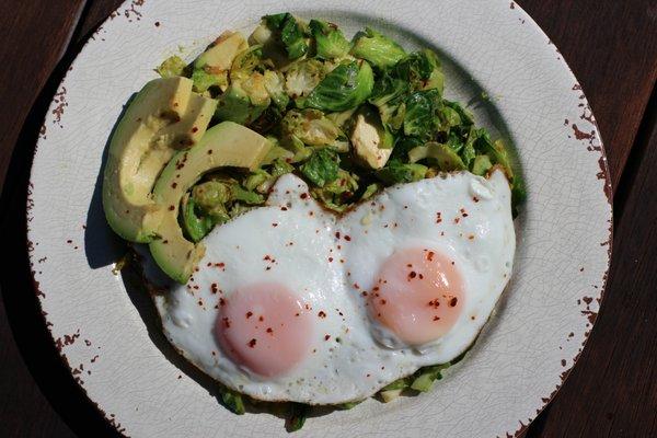 Healing From Scratch