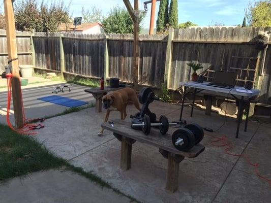 Sean Flanagan Fitness & Nutrition