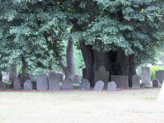 Pawtuxet Memorial Park