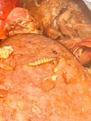 Juicy Seafood Express - Gallatin Pike Madison