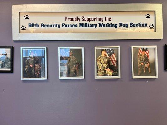 Military working dogs and handlers