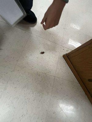 Hempstead Independent School District