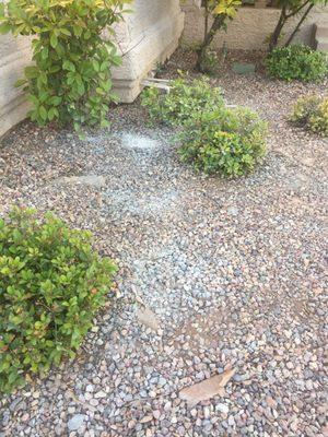 Grout and cement poured onto the rocks in our front yard. Never cleaned up by flooring usa.