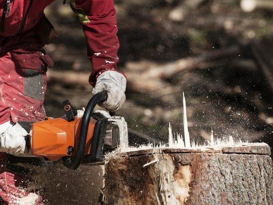 AJ's Tree Service and Landscaping