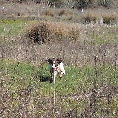 Three Creeks Natural Area