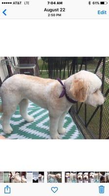 My girl is beautiful! Thank you!