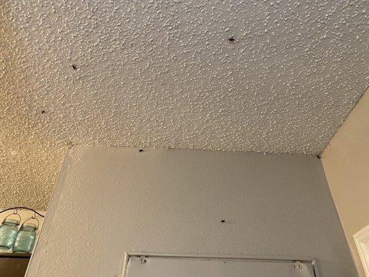 Pecan Knoll Apartments