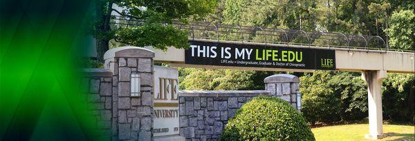 Optimal Life Chiropractic