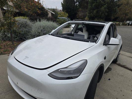 Auto Glass Combat Vet