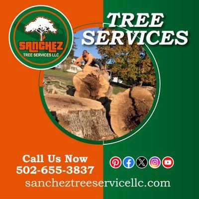 Sanchez Tree Service