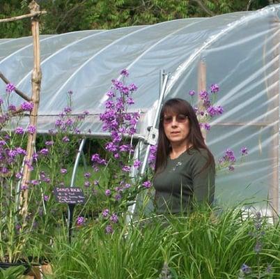 Grasshopper Pet Sitting