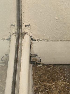 More black mold in the walls deteriorating baseboards from behind.