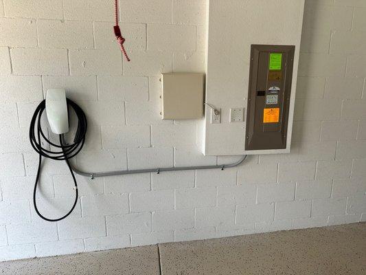 Horns And Hooves Electrical