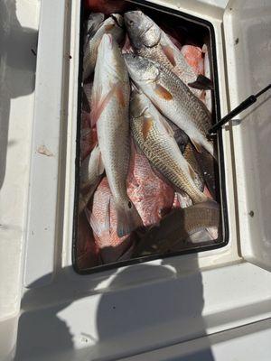 Cajun Culture Fishing Adventures