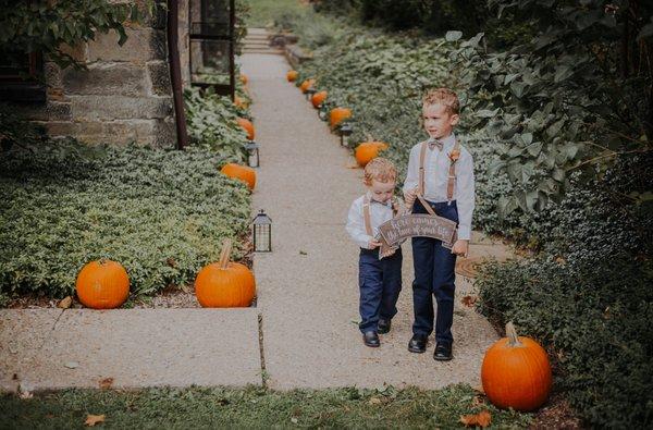 Cherry Blossom Photography
