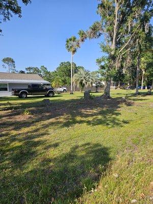 Woodman Services & Solutions