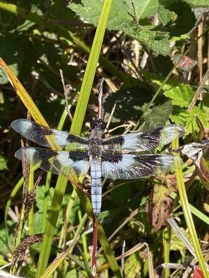 Jessie M. Honeyman Memorial State Park